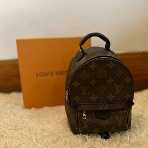 Louis Vuitton Palm Springs Mini Backpack